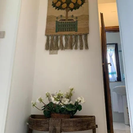 Villino Le Ortensie *