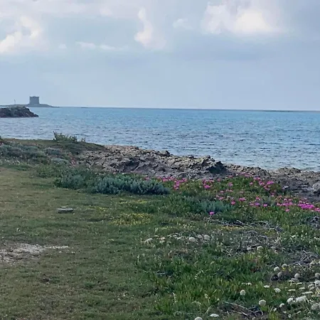 Holiday home Villino Le Ortensie *