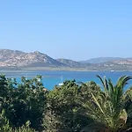 Villino Le Ortensie סטינטינו