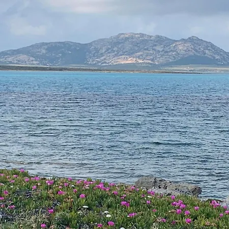 Villino Le Ortensie Nyaraló Stintino