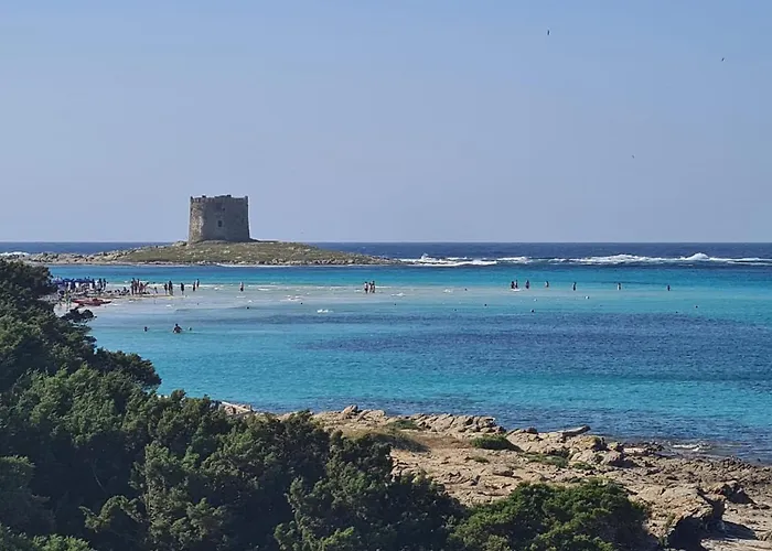 Tatil Evi Villino Le Ortensie