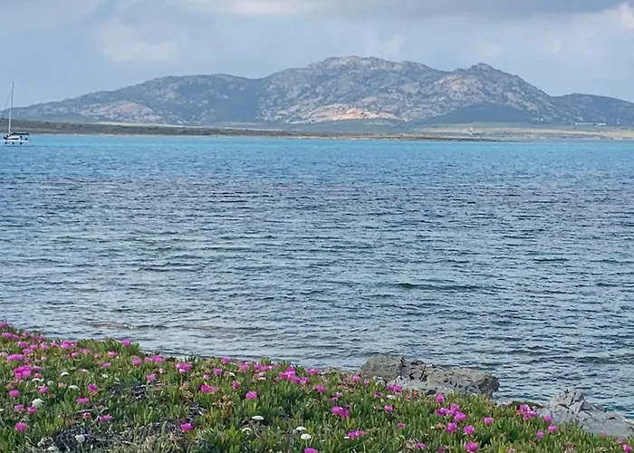 Villino Le Ortensie Tatil Evi Stintino